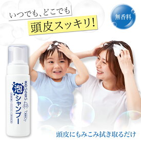 【送料無料】水のいらない泡シャンプー　無香料