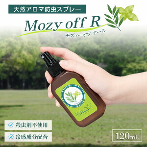yz VRA}hXv[MozyOff@R
