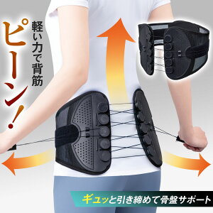 【送料無料】 ピーンと腰ベルト  小