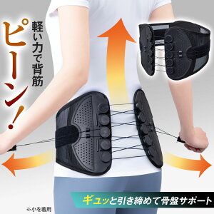 【送料無料】 ピーンと腰ベルト  大