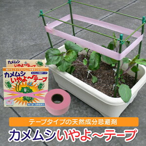 �y���������z�J�����V�����`�e�[�v