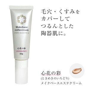 yzSԂ̍ʁiƂ߂̂ǂ)@CNx[XGXeN[@30g