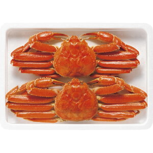 {C킢Ɏp 450g×2 ZHB452N[ty]