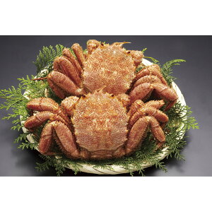 kCY{Cт320g×2 320*2[ty]