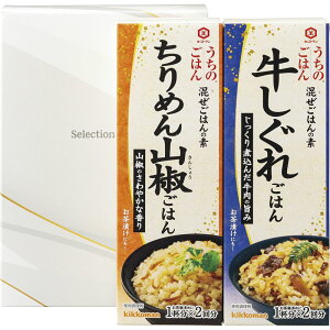 LbR[} ̂͂MtgZbg P4106