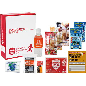 1DAY�ЊQ�΍�11�_�Z�b�g EP-30T