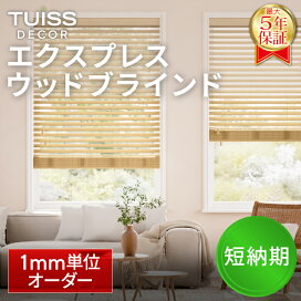 楽天市場】 バーチカルブラインド : Tuiss