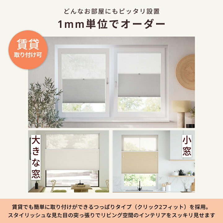 楽天市場】【告知】先着5名限定！・50%OFF・7/4（土）20：00～ 採寸 