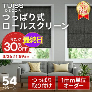 �y�ŏI���I3/26 1:59�܂ŃN�[�|����30��OFF�z�݌v1,000����˔j�I tuiss decor ���ς莮 ���[���X�N���[�� �I�[�_�[���[�h�u���C���h ���t���ȒP ���� �̌� �Ռ� �ՔM �z���C�g �u���b�N �x�[�W