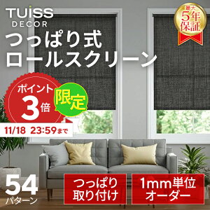 y11/18 23:59܂P3{Iz tuiss decor ς莮 [XN[ I[_[[huCh tȒP  ̌ Ռ ՔM zCg ubN x[W `[CbV fRA