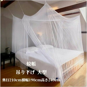 ySS聚10%OFF!z s210cm190cm240cm ᒠ eg ݂艺 ^  XL[glbg VO 悯 RpNg y xbhp ᒠ ᒠeg X^h^Cv   J