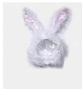 y50~N[|zz!z  蕨 Ԃ RXv zCg ӂӂ nEB O[ 킢 ETM fB[X ObY  q ߑ Aj} ] RX`