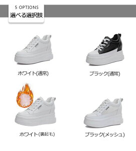 y200~N[|zz!z V[NbgV[Y fB[X 10cm gAbv C fB[X Xj[J[ C V[Y EH[LOV[Y _bhXj[J[ fB[XV[Y t