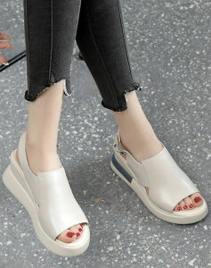 y50~OFFz X|[cT_  fB[X T_ I[vgD EFbWT_ EFbW\[ Xj[J[ T_ r L y ʋC Xgbv Vv JWA 