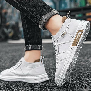 y50~N[|zz!z V[NbgV[Y Y  gAbv6cm up6cm q[Abv gup w Xj[J[ PUvC V[NbgV[Y YXj[J[ rWlX