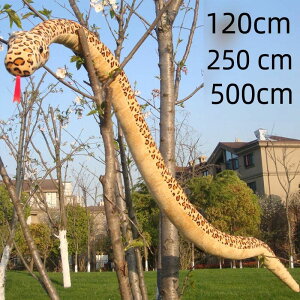 y200~N[|zz!z  ւ wr 傫 ʂ  xbh  ӂӂ ߋ ̎q  킢 j̎q  Mtg A CeA J[L zCg O[ 