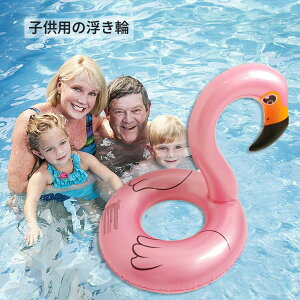 y50~N[|zz!z   lp qp q LbY  t[g Ԃ 芴  q 킢 ̎q j̎q j l CRɂ   W[ AEgh