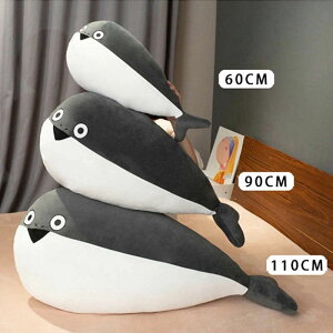 y50~N[|zz!z ʂ TJooXsX  xbh ߋ ObY TJTJoooXsXsX ̎q j̎q 킢 ʔ Mtg  CeA 킢 