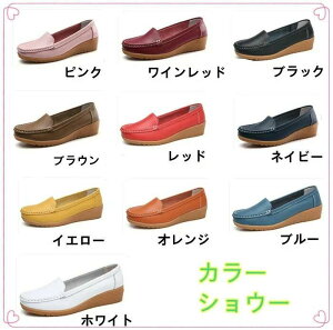 y50~N[|zz!z {vfB[XV[Y ؂񂱃V[Y JV Xb| JWAC EFbW\[ ʋ OL p Ōt zCg ubN IW Cbh u