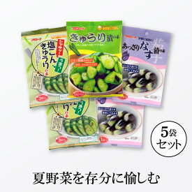 【送料無料 浅漬けの素】 きゅうり＆なす 漬け物三昧セット 粉末 漬物の素 粉 キュウリ漬けの素 胡瓜漬けの素 ナス漬けの素 茄子漬の素 漬物の素 つけものの素 きゅうり なす ナス 水なす 漬けの素 コーセーフーズ ゆうパケット