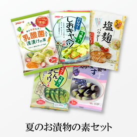 【送料無料】 夏のお漬物おためしセット 漬け物の素 ゆうパケット 浅漬け 漬け物 粉 浅漬けの素 粉末 塩麹 塩麹パウダー 塩キャベツ やみつきキャベツ あっさり漬 きゅうり なす なす漬 ナス 水なす コミローナ コーセーフーズ こうじや里村