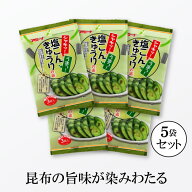 【送料無料】 塩こんきゅうり漬の素 39g×5袋 キュウリ漬けの素 胡瓜漬けの素 浅漬けの素 あっさり漬の素…