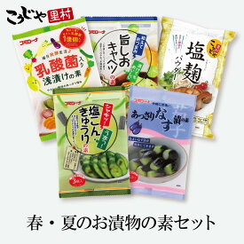 【送料無料】新セット品 春夏のお漬物おためしセット 漬け物の素 ゆうパケット 浅漬け 漬け物 粉 浅漬けの素 粉末 塩麹 塩麹パウダー 旨しおキャベツ やみつきキャベツ あっさり漬 きゅうり なす なす漬 ナス 水なす コミローナ コーセーフーズ こうじや里村