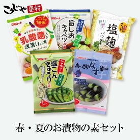 【送料無料】新セット品 夏のお漬物おためしセット 漬け物の素 ゆうパケット 浅漬け 漬け物 粉 浅漬けの素 粉末 塩麹 塩麹パウダー 旨しおキャベツ やみつきキャベツ あっさり漬 きゅうり なす なす漬 ナス 水なす コミローナ コーセーフーズ こうじや里村