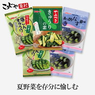 【新発売】 きゅうり＆なす 漬け物三昧セット 粉末 漬物の素 粉 やみつききゅうりの素 胡瓜漬けの素 ナス…