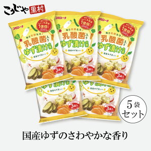 _ۓ 䂸Ђ̑f 48gi16g×3j×5  Ђ̑f  Е̑f  ۊ Ђ̑f  ؒЂ イЂ ȂЂ̑f Mq ȒP  i ◢ R[Z