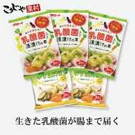 【送料無料】 乳酸菌入り浅漬け ＆ ゆず漬けの素 セット 浅漬けの素 粉末 漬物の素 粉 漬け物の素 浅漬の…