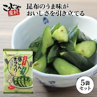 【送料無料】100万個突破！弊社販売総数 塩こんきゅうり漬の素 39g×5袋 キュウリ漬けの素 胡瓜漬けの素 …
