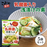 乳酸菌入り 浅漬けの素 60g（20g×3）×5袋 漬物の素 粉 腸活 菌活 発酵食品 乳酸菌 漬け物の素 粉末 浅…