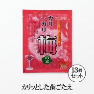 手作り カリカリ梅の素 (梅500g用)×13袋【送料無料・工場直送】 簡単 カリカリ梅 かりかり梅 漬け 青梅 …