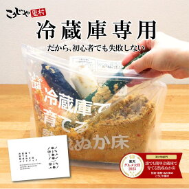 【5年 楽天グルメ大賞受賞 】冷蔵庫で育てる熟成ぬか床 スタートセット 送料無料 ガイドブック付き 1000円ポッキリ ぬか床 ぬか ぬかどこ 糠床 糠 ぬか漬け 糠漬け 糠漬 ぬか床セット 容器 漬物 漬け物 発酵食品 腸活 菌活 初心者 簡単 こうじや里村 コーセーフーズ