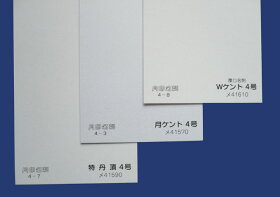 名刺用紙月ケント4号/1,000枚