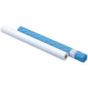 ★最大P24倍★ 1/9-1/16★【法人様限定商品】-ed145769ロール模造紙 白 50m巻 メーカー名 ゴークラ-【教育・福祉】