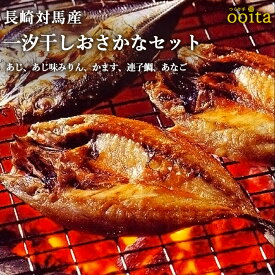 長崎対馬一汐干しおさかなセット 真あじ かます 連子鯛 あじ味みりん あなご お中元 お歳暮 ギフト