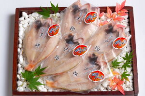 ̂ǂ늱Zbgij ̂ǂ  lߍ킹 Zbg Zbg  mhO Mtg ̂ǂ늱 mhO AJc Ђ {C  lc`  Ε 