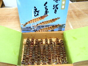 ԊCV500gi12`18OjԊCV  Ε vv `[~O H Mtg