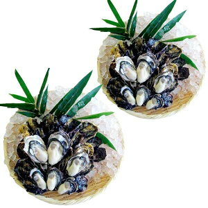 _E󃌃Xg Hpkty Ђl30 Hy Z TCY Ε vv `[~O Mtg ICX^[ JLtC y N[~[ VOV[h