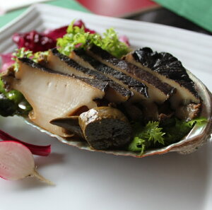 ̓ Ȍ V̎H[    蕨 s   Ε  ŐL