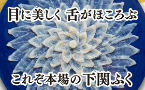 YƂӂZbg3lO Ƃӂ  Ƃӂhg Ƃӂh ґ Ƃӂ gtO NNn ӂ O Mtg ӂh ӂhg ͓ tOh ӂh ӂ ӂZ