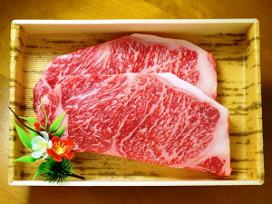 F{aT[CXe[LZbg  Ε  T[CXe[L h  ^t