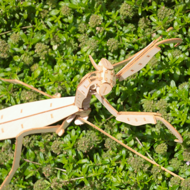 楽天市場】【公式】つくるんです 3Dウッドパズル・ポケットバグズ