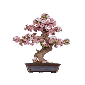 ͂Ȃ~́Iyzłu ~́vTG415^񂵂{Ep{T|[gt 3DEbhpY  H  ̓ ̓ a m BONSAI CoE