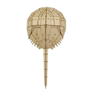 【公式】つくるんです 3Dウッドパズル 絶滅危惧種シリーズ カブトガニ │ あんしん日本語説明書付 おうち時間 誕生日 知育 REDLIST 兜 カブト 模型 ミニチュア ウッドクラフト horseshoe