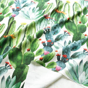 An XyCA IbNXfW^vg n T{e 140cm 50cm`10cmP