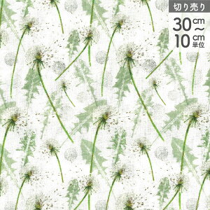 n An ANt@NgD acufactum tt킽 vgn A Ж150cm (ŒP30cm`10cmPʂ̐؂蔄)