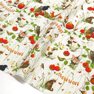 ANt@NgD acufactum ӂ낤ƃS vgn 150cm (ŒP30cm`10cmPʂ̐؂蔄)